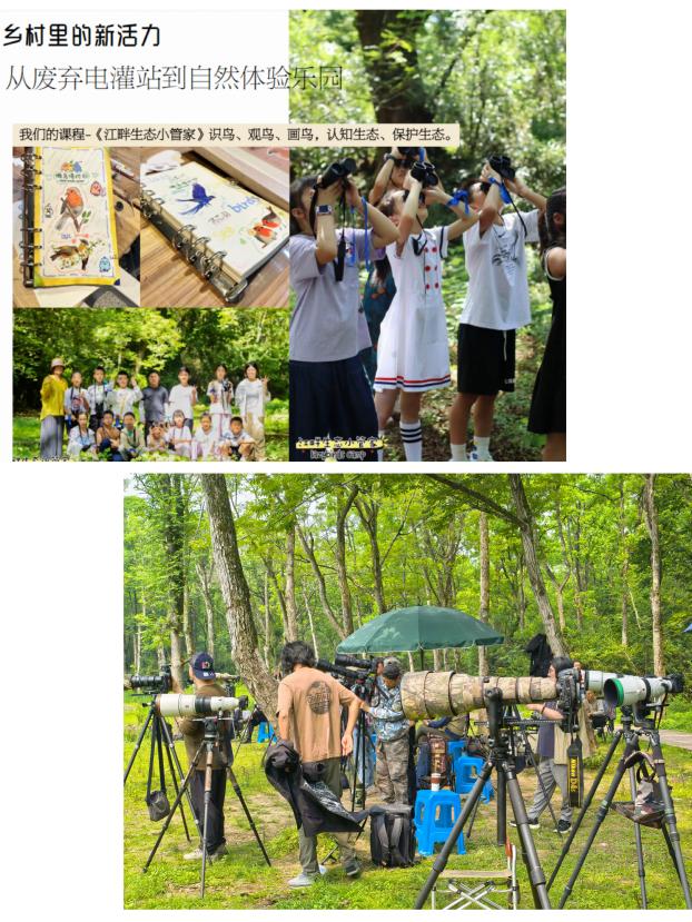 8000萬熱度炸屏！屯溪“護村小祖宗”聯(lián)動短劇頂級頭部平臺帶火綬帶鳥，短劇+文旅解鎖鄉(xiāng)村振興新密碼