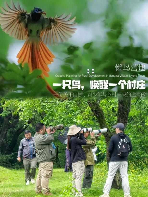 8000萬(wàn)熱度炸屏！屯溪“護(hù)村小祖宗”聯(lián)動(dòng)短劇頂級(jí)頭部平臺(tái)帶火綬帶鳥，短劇+文旅解鎖鄉(xiāng)村振興新密碼